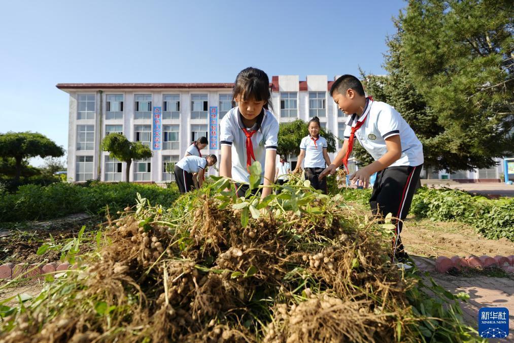 ag旗舰厅体验